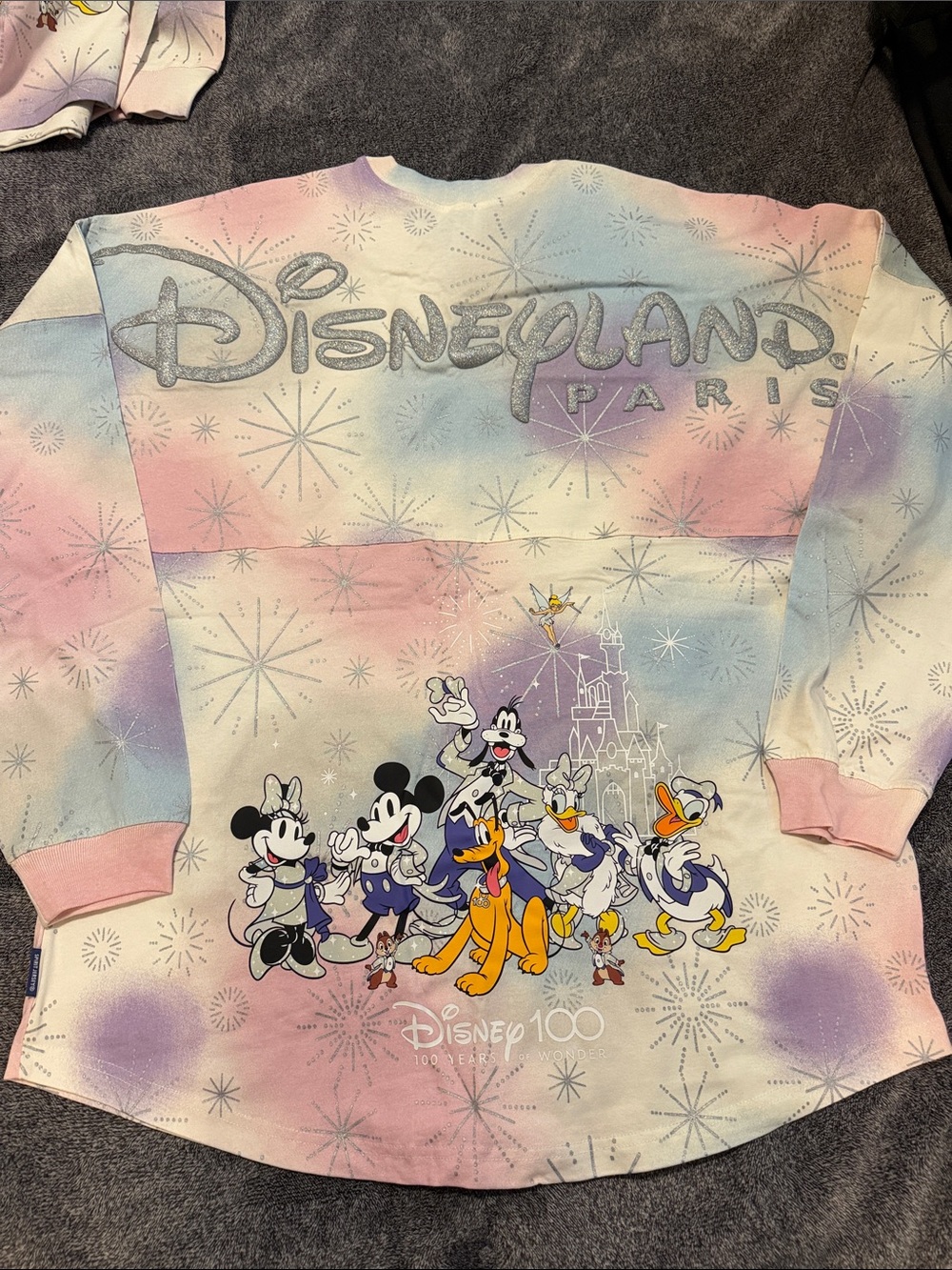 Disneyland Paris 100 Years of Wonder Spirit Jersey